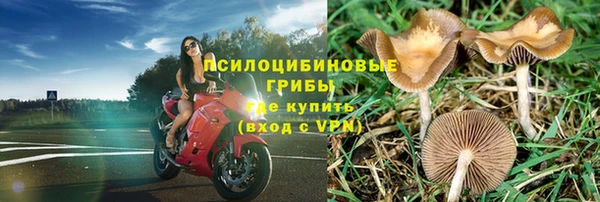 экстази Баксан
